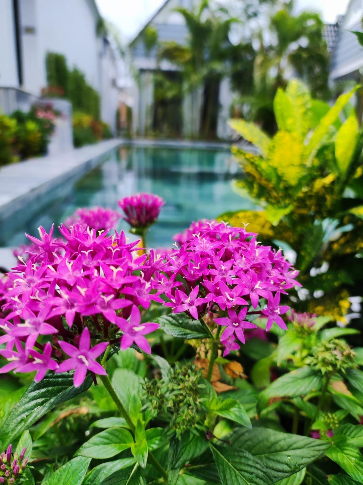 Ngoc Trai Xanh Bungalow Phú Quý Zewnętrze zdjęcie